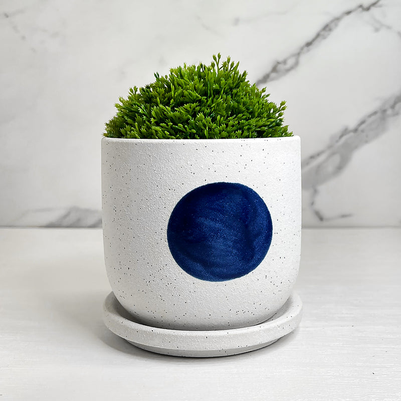 Blot Ceramic Planter & Pot With Saucer 11.5cm