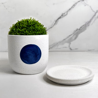 Blot Ceramic Planter & Pot With Saucer 11.5cm