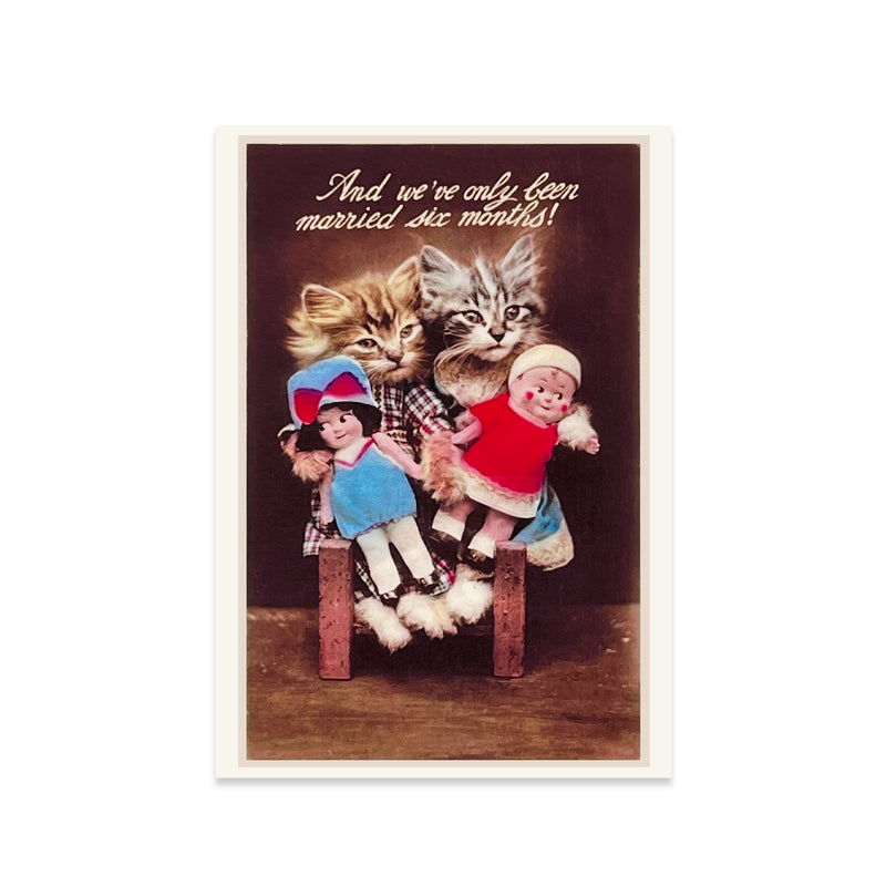 Postcard Kitty Cat Series