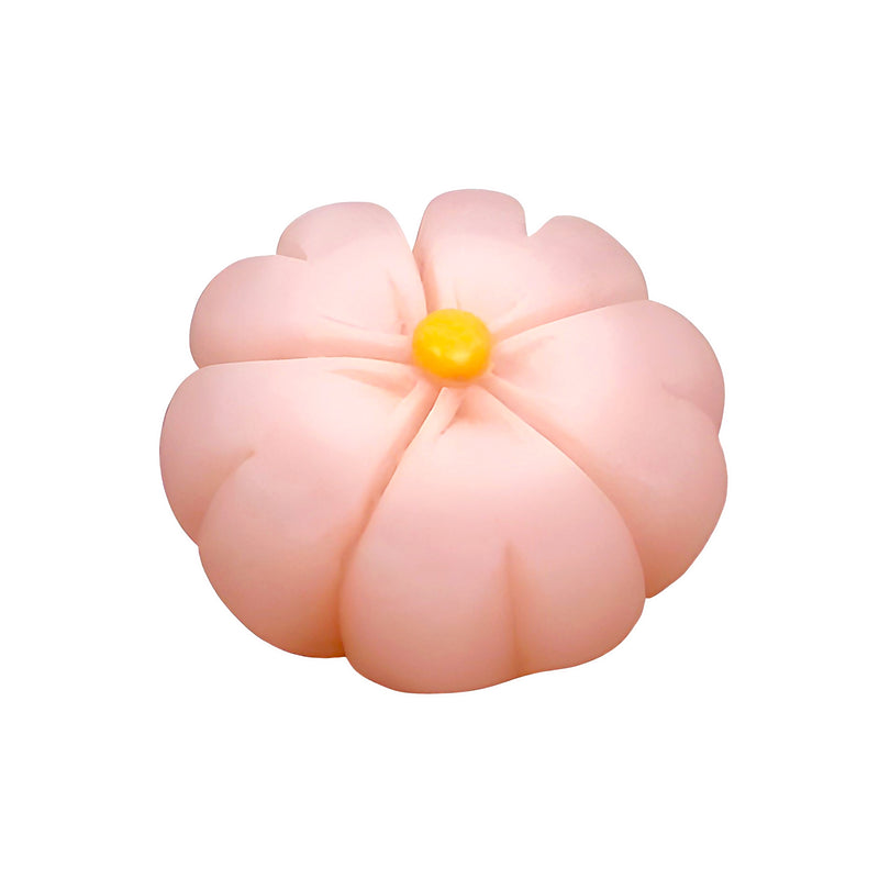 Japanese Confectionery Magnets Sakura