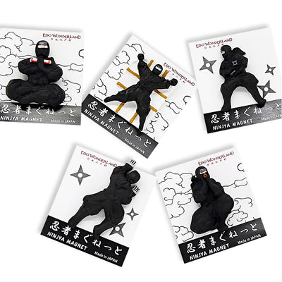 Ninja Magnet Series Fight