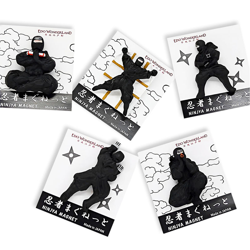 Ninja Magnet Series Fight