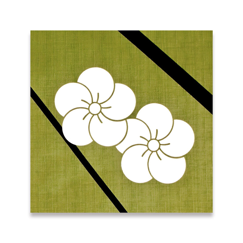 Furoshiki Bag Decorative Cloth Yariume Green