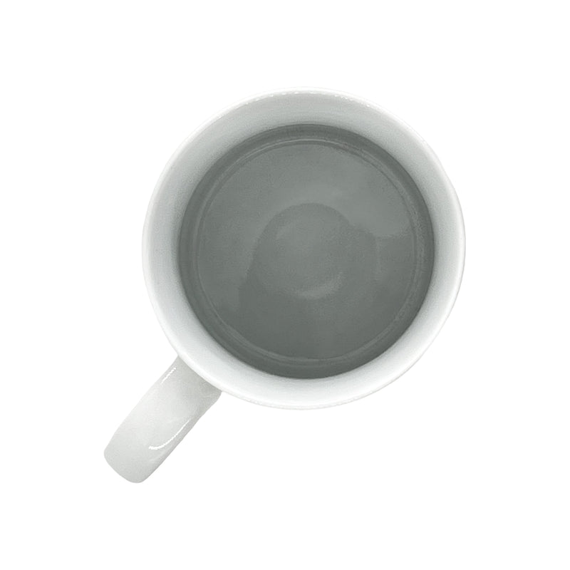 Japanese Arita Ware Ceramic Tea Cup Mug 450ml